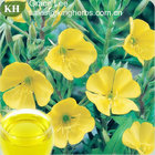 Primrose Oil, evening primrose oil, Oenothera biennis oil,evening primrose seed oil