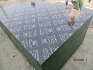 KINGPLUS film faced plywood for construction,building material.imported dynea film.china factory supplier