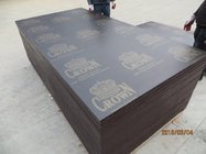 CROWN' BRAND FILM FACED PLYWOOD, CONSTRUCTION PLYWOOD.BUILDING MATERIAL.BROWN FILM FACED PLYWOOD.