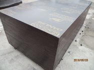 'KANGAROO' BRAND FILM FACED PLYWOOD, 18mm film faced plywood shuttering plywood