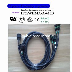 China 15300002  （DELPHI ）  Wiring harness custom export processing  ，Delphi Metri-Pack 280 Sealed Female Automotive Connectors supplier