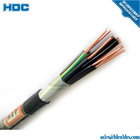 300 V 600v Type PLT/ITC Armored Instrumentation Cable (Shielded Pairs and Triads)