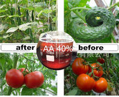 Super Agriculture 40% Amino Acid Liquid Fertilizer Organic Liquid