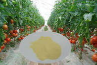 Eco-friendly 65% Amino Acid Powder Organic Agriculture Fertilizer By Chengdu Chelate