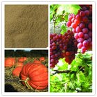 Amminoacidi Vegetable Based Organic Agriculture Use Fertilizer
