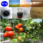 New Formulations Foliage Spray  Amino Acid Chelated B+Zn+Mg Fertilizer