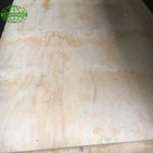 Pine plywood used for construction in  size of 1220x2440mm