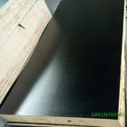 First Grade WBP Glue Marine plywood--Film Faced Plywood