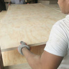 Pine veneer commercial plywood cabinet grade plywood