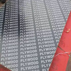 Construction use 18mm marine grade plywood waterproof plywood sheets