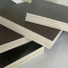 Construction use 18mm marine grade plywood phenolic coated plywood