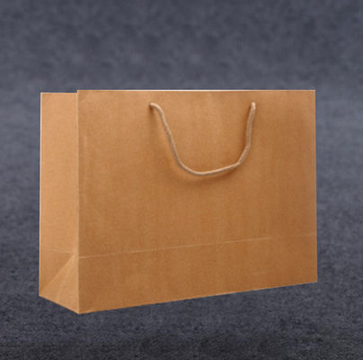 China Clothing Shop Own Logo Packaging Bag ,Logo Printed Plain Luxury Kraft Handle Paper Shopping Bags supplier
