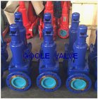 safety valve,relief valve