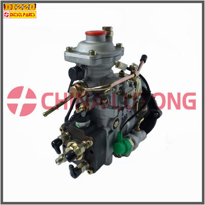 China Diesel Fuel Injection Pump 11F1900L005-VE pump supplier