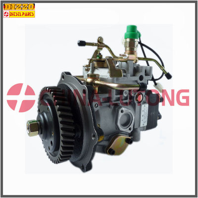 China VE Injection Pump-Diesel Injection Pump 11F1900LNJ03 supplier