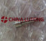 Delphi common rail nozzle L136PBD,China high quality diesel nozzle supplier supplier