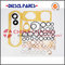 Repair Kits for VE pump-Toyota Fuel Injector Rebuild Kit supplier
