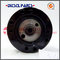 Head Rotor 7180-819u 4/9r Dpa for Cabezal Dpa Pk Q20.1004.4, Delphi Cav Rotor Head supplier