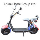 800W Electric Touring Motorcycle with F/R Shocks, 2 Seats, Flashing Lights