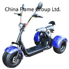 Harley Citycoco Electric Tricycle with 1000W Shaft Motor, 60V/30V lithium battery