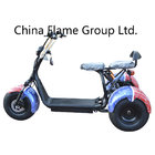 3 Wheel Electric Motorcycle with 1000W 60V/20ah F/R suspenison