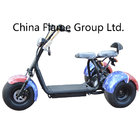 1000W Citycoco Harley Scooter with Double Seats 60V/20ah/30ah lithium battery