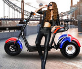 1000W Three Wheels Electric Motor Scooter with Double Seats 1000W 60V/20ah   lithium battery ,F/R suspension