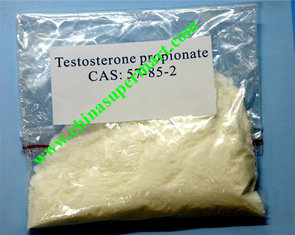 China CAS 57-85-2 Testrex Raw Testosterone Powder Vulvan / Propionate Steroids For ED supplier