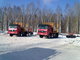 Log Trailer for Russia Market supplier