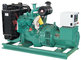 diesel generators powered by Cummins diesel engine supplier
