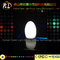 Wireless Color Changing Led Egg Lamp with remote controller