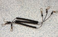 Heavy Duty Big Key Hooks with Strong Pulling Retracted Wire Coil Strap Holder Black Cord supplier