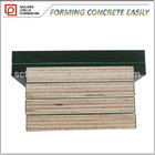 China supplier concrete form plywood plastic plywood sheet