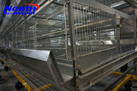 Chicken Cages For Layers & Broilers Nairobi livestock