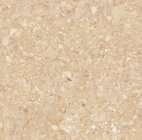 Wear-resistant Rustic Terrazzo Porcelain Tiles 600*600mm and 800*800mm
