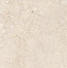 Wear-resistant gray rustic terrazzo porcelain tiles 600*600mm and 800*800mm