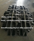 DEMAG CC2500 Track Pad for Crawler Crane Undercarriage Parts