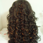 Handtied Kanekalon Fiber Lace Front Wigs Highlight Color Curly Hair Texture