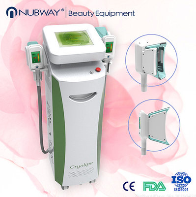 China multifunction cryolipolysis slimming machine  liposucksion and skin rejuvenation supplier
