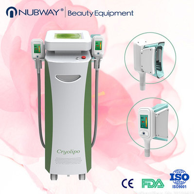 China Three interchangeable Cryolipolysis handles for fat removal machine supplier
