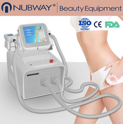 China 2016 popular Cryolipolysis Freezing Away Fat Equipment For Slimming(very hot) supplier