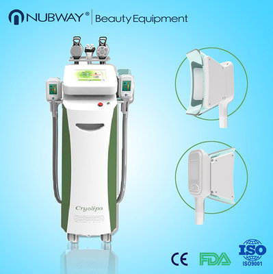 China cryolipolysis fat freeze slimming machine/cryo electroporation machine supplier
