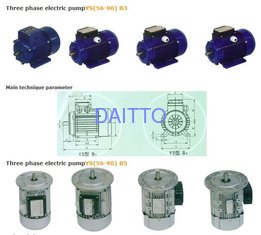 China Three phase electric pumpYS(56-90) B3 supplier