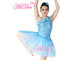 Floral Ballet Dance Costume Sequin Leotard Dress With Oblique Neckline supplier