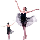 Adult Graceful Ballet Dance Dress