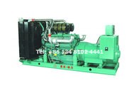 LICARDO Diesel Generator Set China