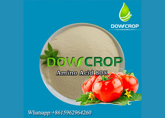 China DOWCROP High Quality 100% Water Soluble Plant Source Amino Acid Protein Light Yellow Powder 80% Agricultural Fertilizer supplier