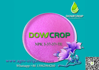 China 100% WATER SOLUBLE NPK 3-37-37 + TE supplier