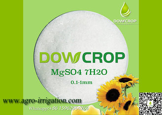 China DOWCROP HIGH QUALITY 100% WATER SOLUBLE HEPTA SULPHATE MAGNESIUM 99.5% WHITE 0.1-1MM CRYSTAL MICRO NUTRIENTS FERTILIZER supplier