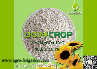China DOWCROP HIGH QUALITY 100% WATER SOLUBLE MONO SULPHATE MAGNESIUM 27% WHITE GRANULAR KIESERITE MICRO NUTRIENTS FERTILIZER supplier